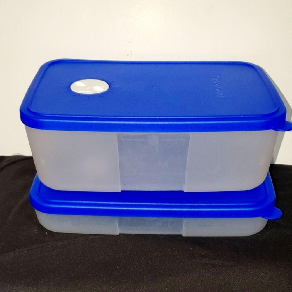 Tupperware Freezer Mates 2 piece set with Blue lids with date dial